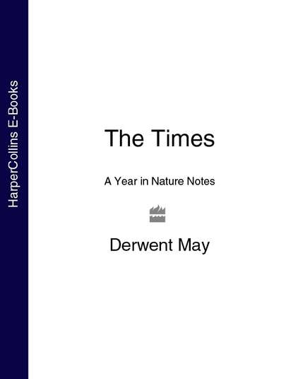 Скачать книгу The Times A Year in Nature Notes