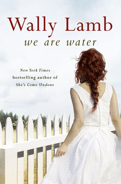 Скачать книгу We Are Water