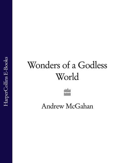 Скачать книгу Wonders of a Godless World