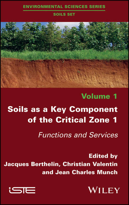 Скачать книгу Soils as a Key Component of the Critical Zone 1. Functions and Services