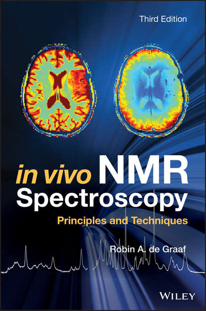 Скачать книгу In Vivo NMR Spectroscopy. Principles and Techniques
