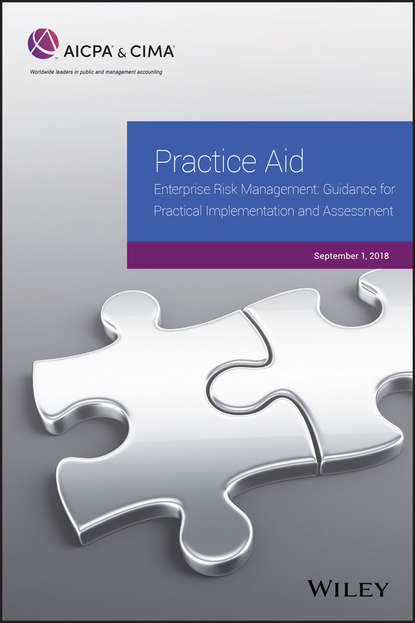 Скачать книгу Practice Aid: Enterprise Risk Management: Guidance For Practical Implementation and Assessment, 2018