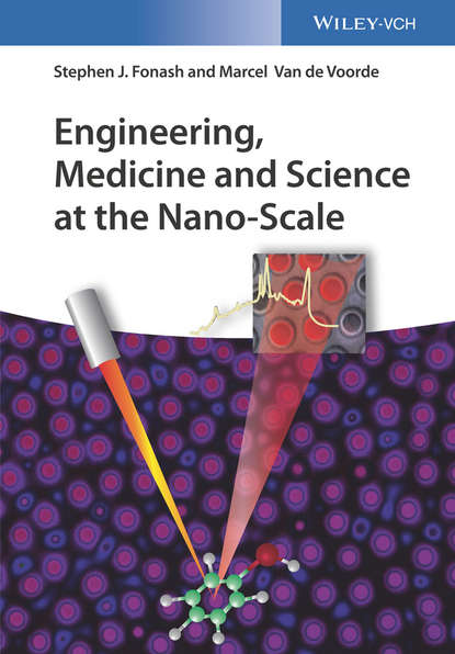 Скачать книгу Engineering, Medicine and Science at the Nano-Scale