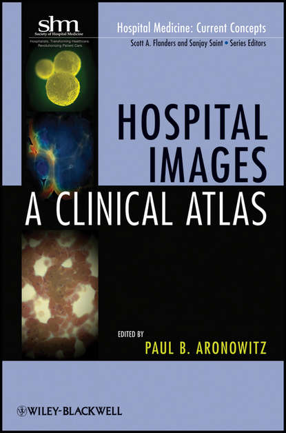 Скачать книгу Hospital Images. A Clinical Atlas