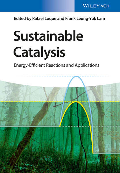 Скачать книгу Sustainable Catalysis. Energy-Efficient Reactions and Applications