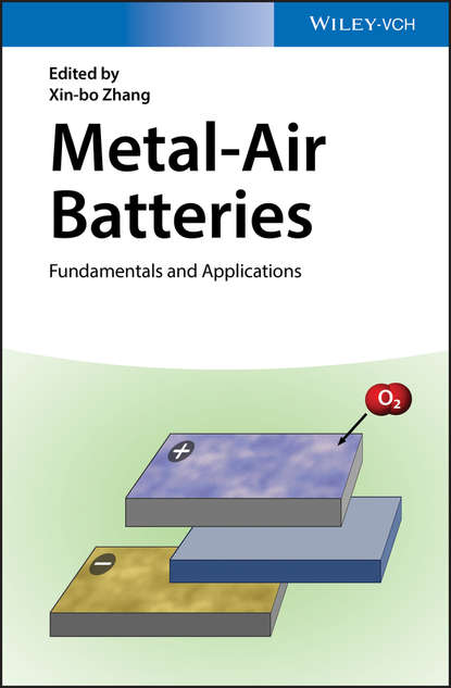 Скачать книгу Metal-Air Batteries. Fundamentals and Applications