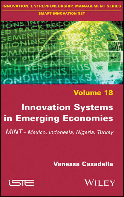 Скачать книгу Innovation Systems in Emerging Economies. MINT (Mexico, Indonesia, Nigeria, Turkey)