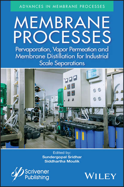 Скачать книгу Membrane Processes. Pervaporation, Vapor Permeation and Membrane Distillation for Industrial Scale Separations