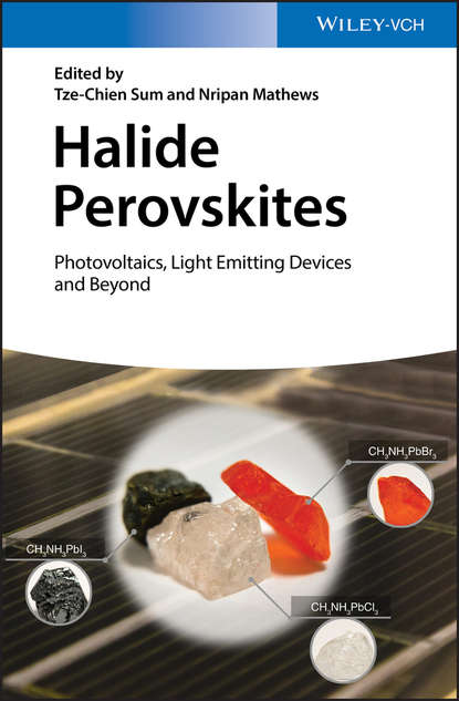 Скачать книгу Halide Perovskites. Photovoltaics, Light Emitting Devices, and Beyond