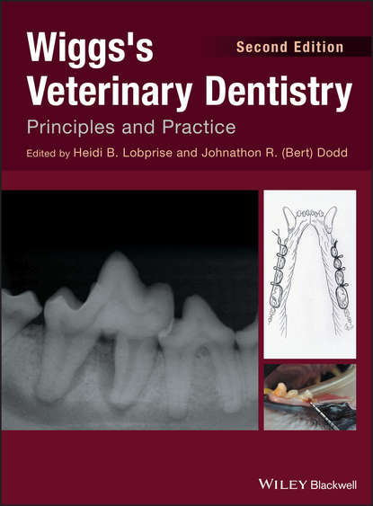 Скачать книгу Wiggs's Veterinary Dentistry. Principles and Practice
