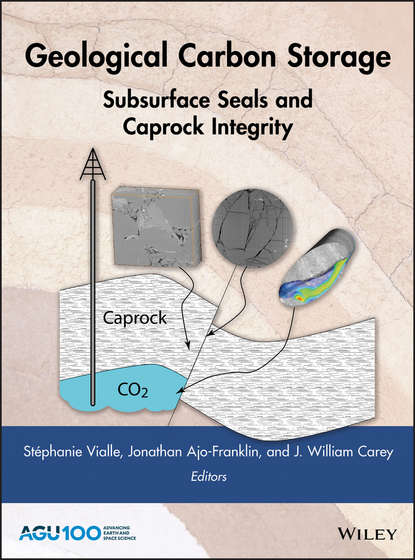 Скачать книгу Geological Carbon Storage. Subsurface Seals and Caprock Integrity