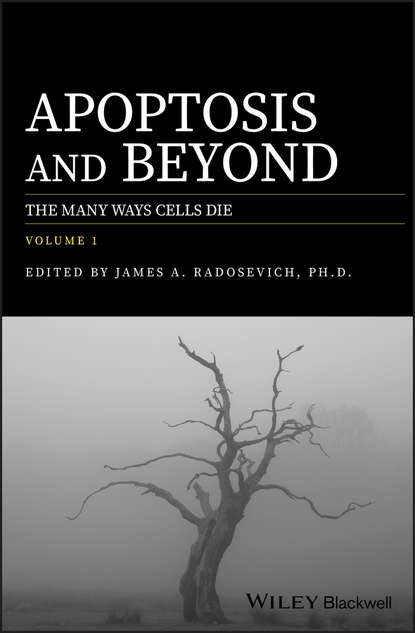 Скачать книгу Apoptosis and Beyond. The Many Ways Cells Die