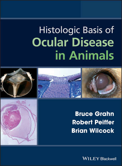 Скачать книгу Histologic Basis of Ocular Disease in Animals