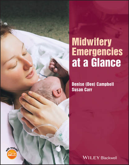 Скачать книгу Midwifery Emergencies at a Glance