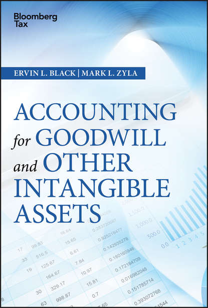 Скачать книгу Accounting for Goodwill and Other Intangible Assets