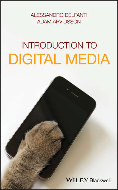 Скачать книгу Introduction to Digital Media