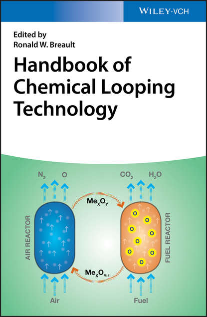 Скачать книгу Handbook of Chemical Looping Technology