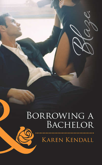 Скачать книгу Borrowing a Bachelor