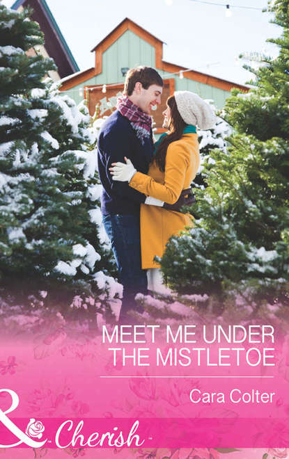 Скачать книгу Meet Me Under the Mistletoe