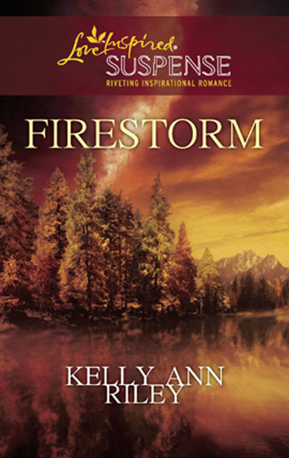 Скачать книгу Firestorm