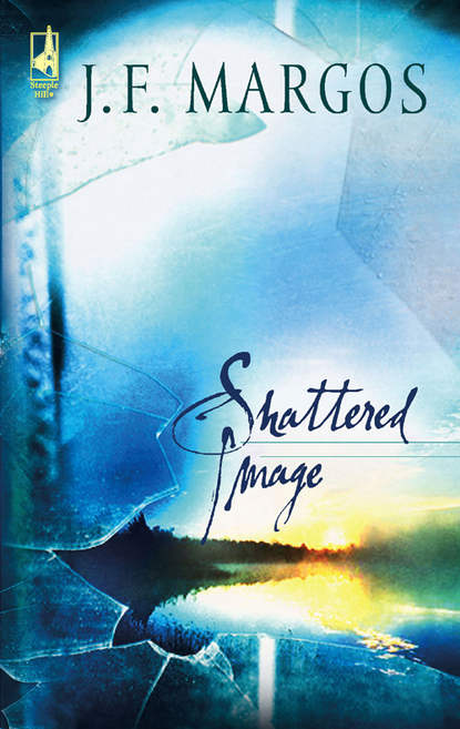 Скачать книгу Shattered Image