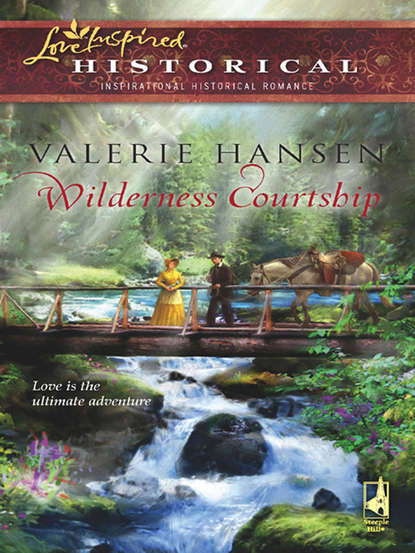 Скачать книгу Wilderness Courtship