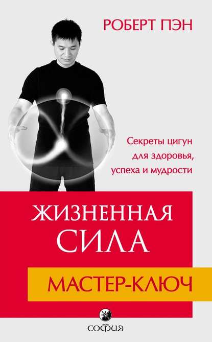 Скачать книгу Жизненная Сила. Мастер-ключ