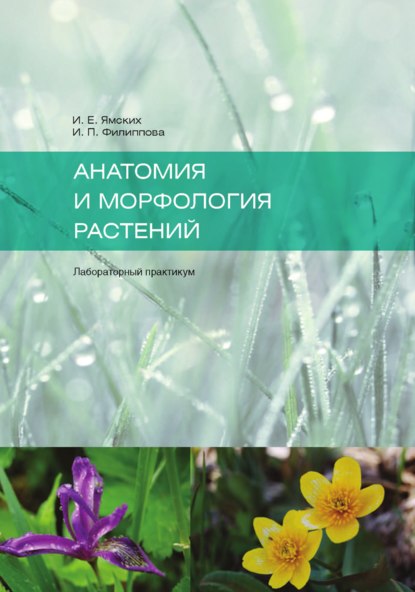 Скачать книгу Анатомия и морфология растений