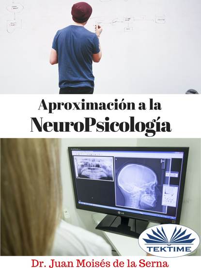 Скачать книгу Aproximación A La Neuropsicología