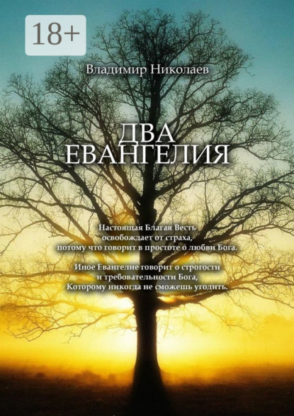 Скачать книгу Два Евангелия. Современные и вечные проблемы христианства, отношений человека и Бога
