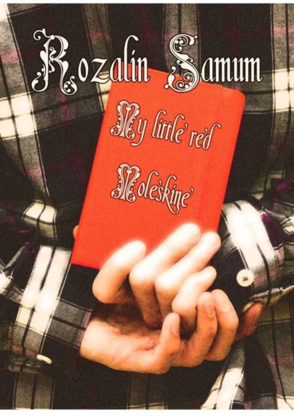 Скачать книгу My Little red Moleskine