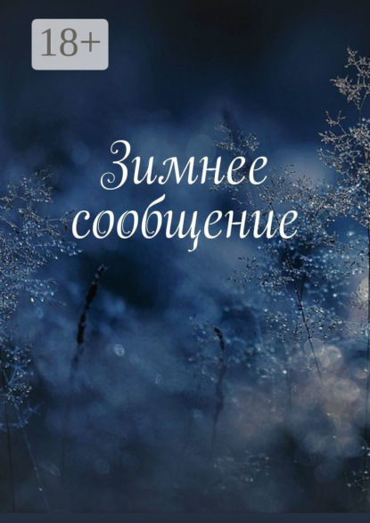 Скачать книгу Зимнее сообщение