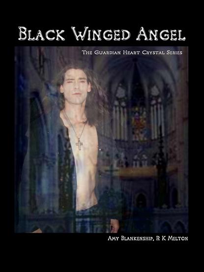 Скачать книгу Black Winged Angel