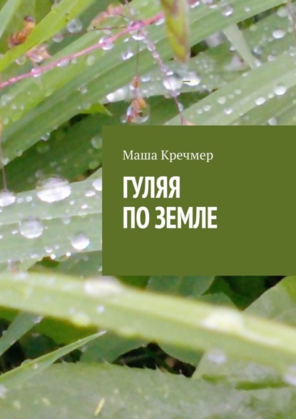Скачать книгу Гуляя по земле