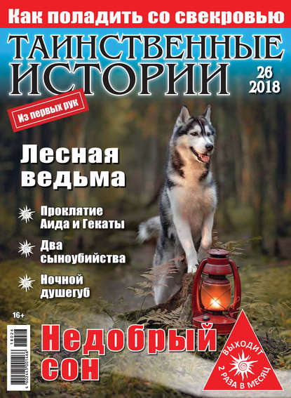 Скачать книгу Таинственные истории №26/2018