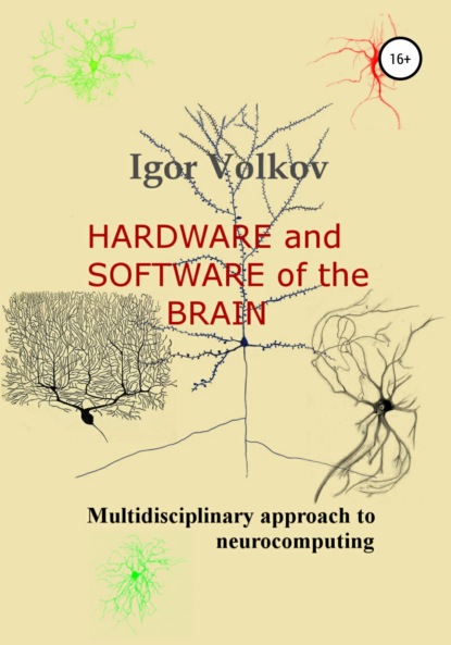 Скачать книгу Hardware and software of the brain