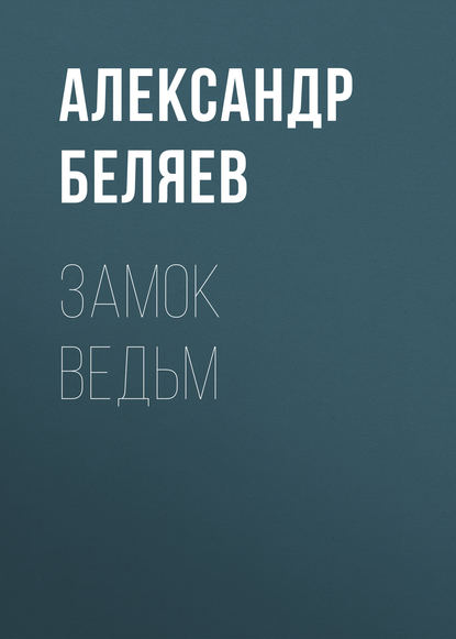 Скачать книгу Замок ведьм