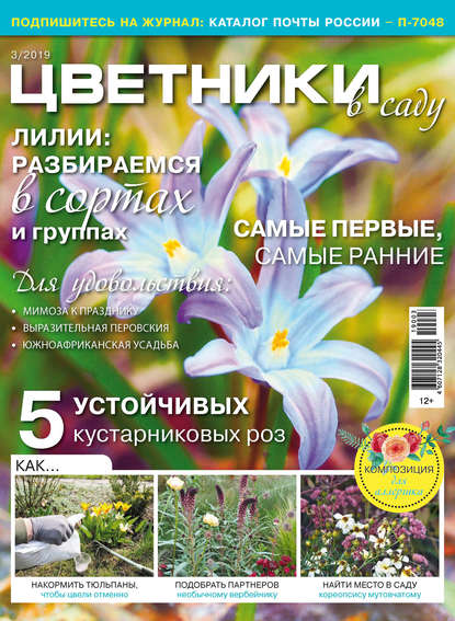 Скачать книгу Цветники в саду №03/2019