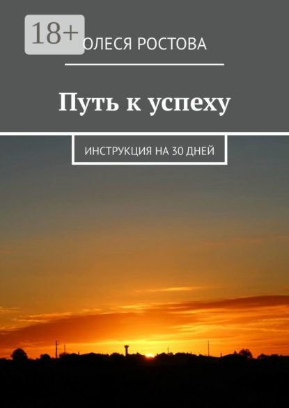 Скачать книгу Путь к успеху. Инструкция на 30 дней