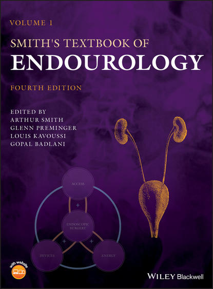 Скачать книгу Smith's Textbook of Endourology