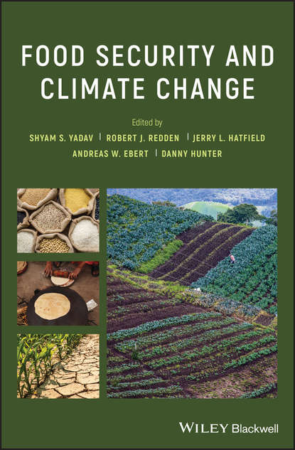 Скачать книгу Food Security and Climate Change