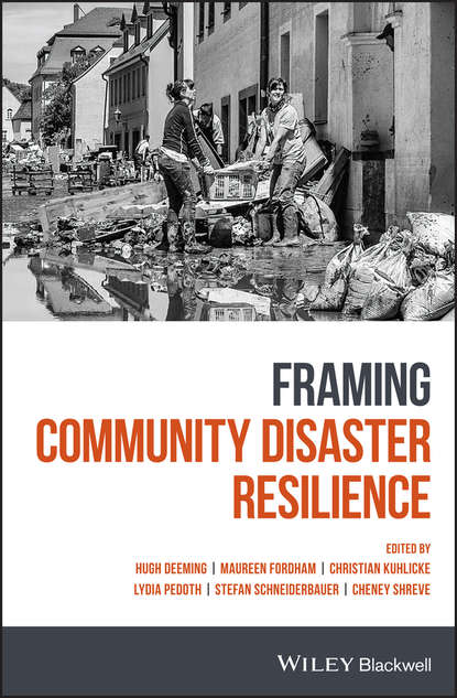 Скачать книгу Framing Community Disaster Resilience