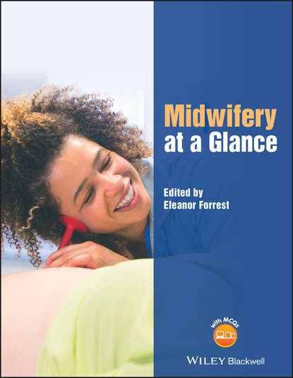 Скачать книгу Midwifery at a Glance