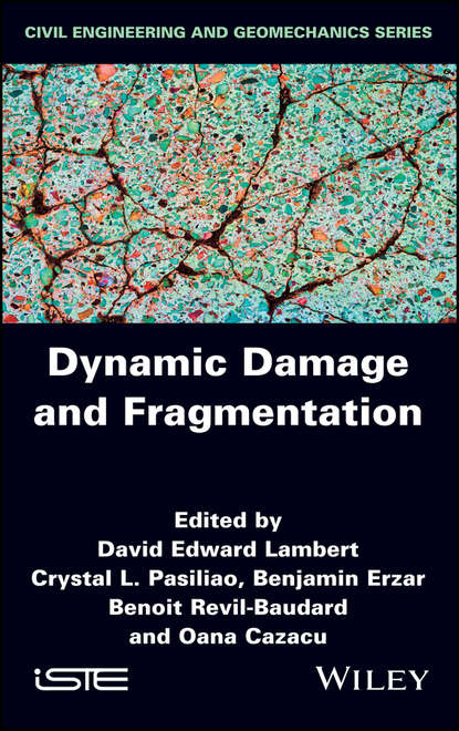 Скачать книгу Dynamic Damage and Fragmentation