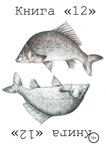 Скачать книгу Книга «12»