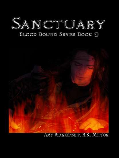 Скачать книгу Sanctuary 