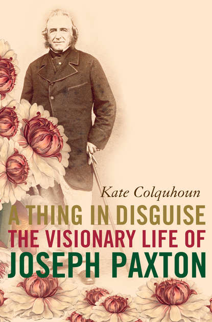 Скачать книгу A Thing in Disguise: The Visionary Life of Joseph Paxton