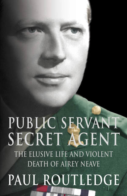 Скачать книгу Public Servant, Secret Agent: The elusive life and violent death of Airey Neave