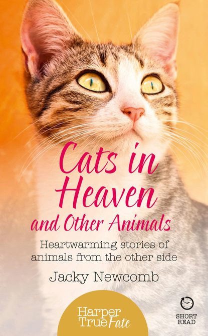 Скачать книгу Cats in Heaven: And Other Animals. Heartwarming stories of animals from the other side.