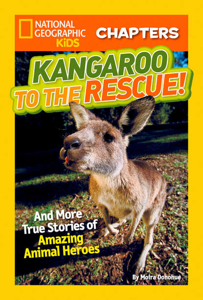 Скачать книгу National Geographic Kids Chapters: Kangaroo to the Rescue!: And More True Stories of Amazing Animal Heroes